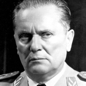 La polemica, la storia, la coscienza